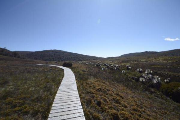 20151228_17747__dsc7479-copy