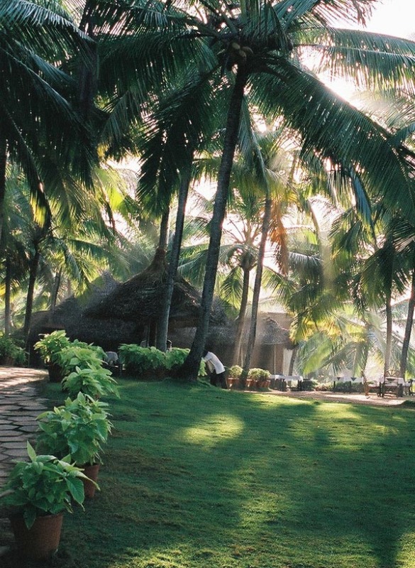 Kerala-Ayurvedic-Retreat