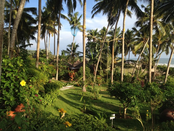 Tropical oasis Kerala