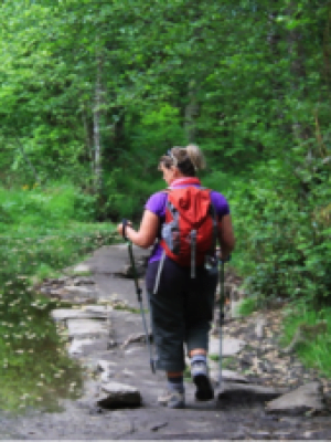Camino Retreat