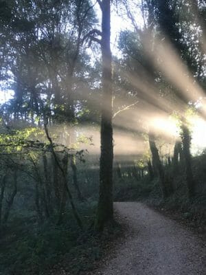The camino