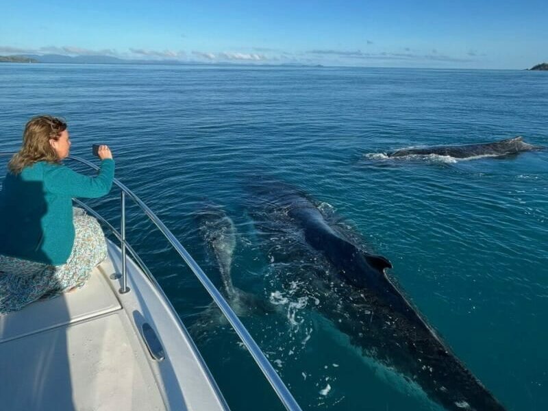 Amazing Whale encounter IMG_2625