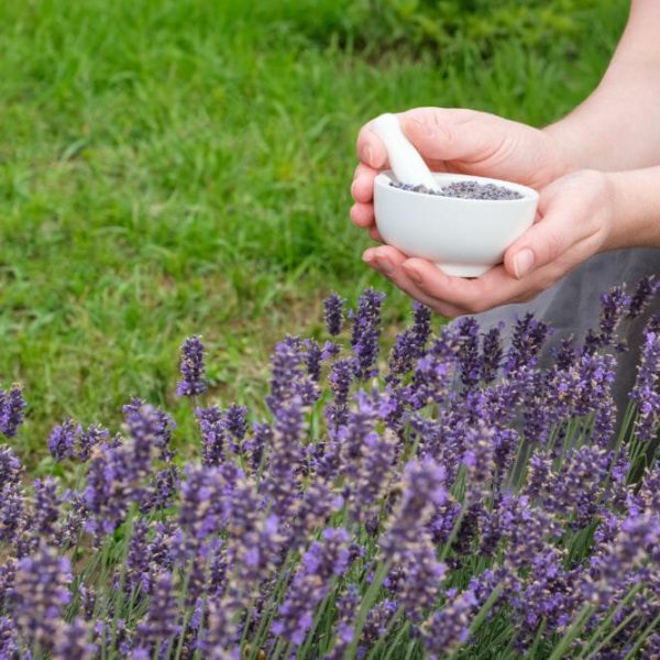Naturopath